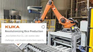 Revolutionizing Rice Production with Palletizing Robots