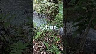 Waterfalls #nature #explorer #travel #adventurer #adventuremore #waterfall #adventure #hiking