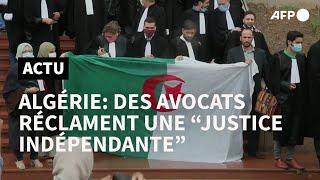 Algérie: les avocats du barreau d'Alger en grève pour "une justice indépendante" | AFP