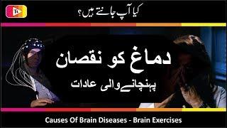 Causes Of Brain Diseases   Brain Exercises    T4 Technology