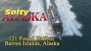 Fishing at Alaska's Barren Islands, in the Gulf of Alaska. Landing a 121 Pound Halibut