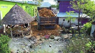 Wonderful New Project!! Strong Dozer Pushing Soil Filling Flooded area In Hard Space & 5ton Truck.