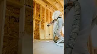 Sprayfoam ain’t bad  #sprayfoam  -#sprayfoaminsulation  -#workhard  #insulation  #graco #fusion