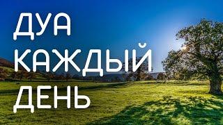 Важное Дуа на каждый день - читайте и будьте из числа благодарных и будем вам милость Аллаха