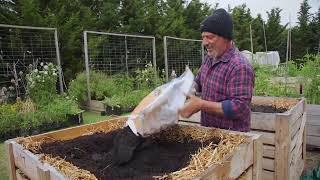 No Dig Raised Bed Secrets: Straw Walls and Layering for Healthy Soil