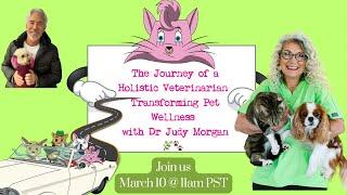 Join us in Meeting Dr. Judy Morgan: A Holistic Veterinarian Transforming Pet Wellness 