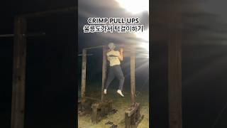 #턱걸이 #풀업 #클라이밍 #클라이머 #pullups #pullup #climbing