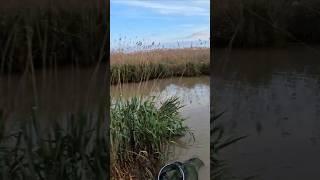 Рыбалка в Чечне. Дагестан
