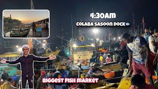 Sasoon Dock Colaba 2024 Early Morning Market || Fresh Fish Market Mumbai || Zaid Ansari Vlogs