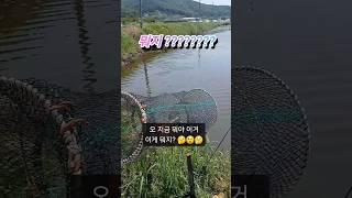 이거 뭐지? 왜 이렇게 생각이안나지? ㅎㅎㅎ  결국  #통발 #통발낚시 #통발미끼 #민물낚시 #시걸 #저수지낚시 #수로낚시 #시골 #자연 #강화도낚시터