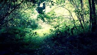 Oleg - GO Forest