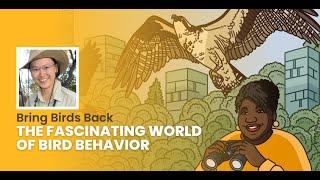 Bring Birds Back: The Fascinating World of Bird Behavior