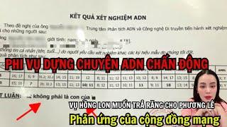 Phương Lê khóc xin tha! Dựng chuyện con ruột cố nghệ sĩ và cái kết