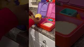 Packing lunch for my kids #youtubeshorts ￼ #lunchbox #foryou #shorts #omie #packinglunch #bentgo