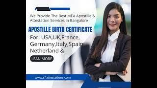 MEA Attestation & Apostille Services