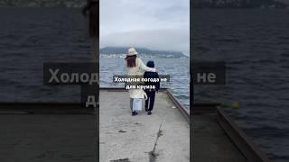 Круиз в Норвегию#круиз #путешествия #travelblog #travel #cruiseship #travelvideo