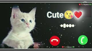 cute baby ringtone new notification tone message ringtone SMS tone Love Ringtone download Now