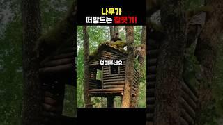 나무가 떠받드는 집짓기!