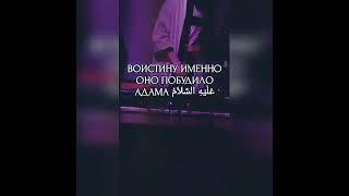Пророк Мухаммад ﷺ указал три причины... #ислам #заметки #мусульманина #намаз #зикры