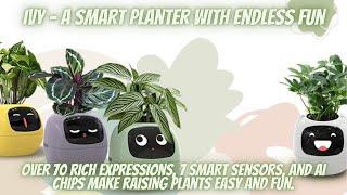 Ivy - A Smart Planter with Endless Fun