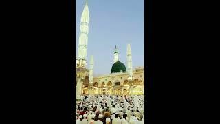 SR SHOAIB RAZA @#0786 MADINA SHARIF TRAINING VIDEO