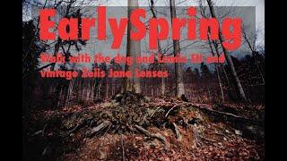 EarlySpring - Forest walk in Beskidy