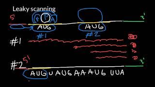 What is a Leaky Scanning?