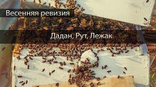 Какой тип ульев лучше? Весення ревизия Дадана, Рута и Лежака.