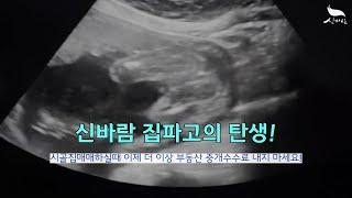 [신바람 오늘의 소식] 신바람 집파고의 탄생! - 시골집매매 농가주택매매 수수료없이 직거래하실때!