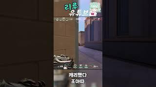 캐리 조아따ㅣ리루