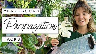 Fast Propagation All Year Round + Plants I'm Propagating This Winter 