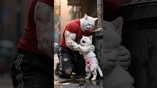  They Deliberately Splashed  Poor Dad Cat & Kitten with Dirty Water 
