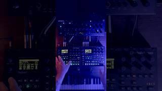 Electronic live session #synth #synthmusic #music