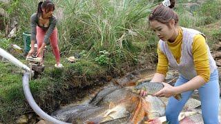 Amazing Fishing: Two Girl Skillfully Pumping Water Outside The Natural Lake, Catch A Lot Of Big Fish