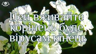 Цей вживайте корінець буде вірусам кінець