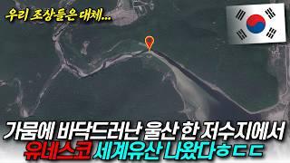 가뭄에 물 빠진 울산의 한 저수지, 그 아래서 7천년전 비밀 쏟아져 “유네스코 세계유산 등재 확실시” / 디씨멘터리