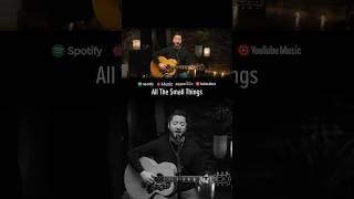 All The Small Things (Wedding Version) - Blink-182 (Boyce Avenue acoustic cover) #shorts #ballad