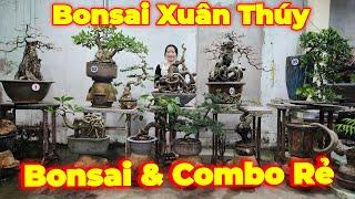 MISS XUÂN | #0967634263 | GIẢM GIÁ HẤP DẪN NHIỀU CÂY ĐẸP VÀ COMBO RẺ SUNG, SỘP, DUỐI, LỘC, ME, TÙNG.