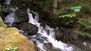 Nature's Wonder A Rushing Waterfall in a Lush Green Forest