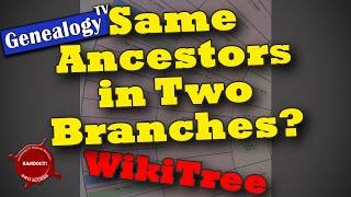 Find Repeating Ancestors in Your Family Tree: Using WikiTree Fan Chart