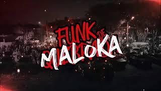 FUNK DE MALOKA - AS MAIS TOCADAS NA ATUALIDADE ( PR DOWNLOADS )