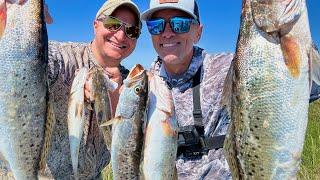 Catching PLENTY Trout for a FEAST! (catch & cook)
