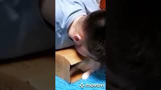 Серенада моей Мафе ! ( Часть 1 )