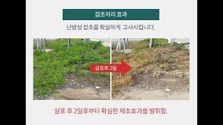 친환경제초제 풀아웃 초전박살 산소,정원,보도블럭,공원녹지 등 모든 잡초제거에 효과적입니다.