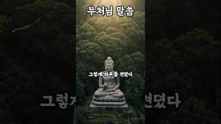 그렇게 하루를 견뎠다#부처님말씀 #부처님의가르침 #불교명언