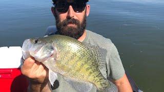 Super Clean Giveaway winner and livescope crappie fishing with Morehead Homestead!