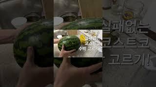 코스트코 수박 고르기 [실패 방지 영상]
