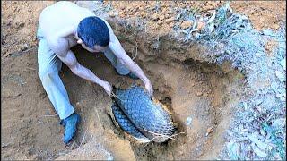 Suffocation. Close-up of two brave men wrestling with a herd of giant king cobras in a dirt cave.