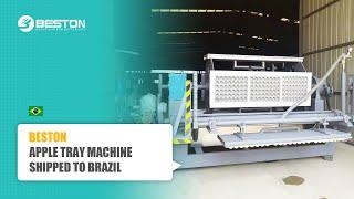 Apple Tray Making Machine Test Run | Fruit Tray Making Machine Project in Brazil