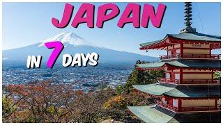 7 Days Japan Tour Guide [With Booking Links] | Japan Tour Plan [With Budget] | Japan Tour